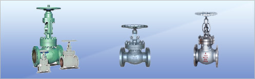 Globe Valve, Media : Oil, Gas, Liquid