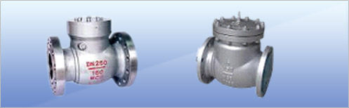 Swing Check Valve