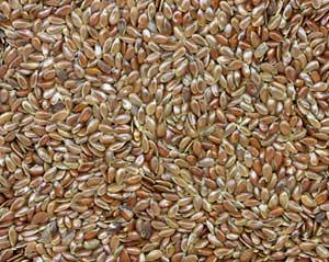 Flax Seeds