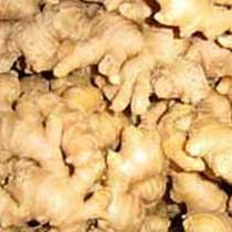 Ginger, Shelf Life :1-2 Weeks