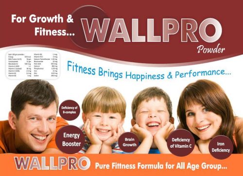 Wallpro Powder, Packaging Size : 1x30gm