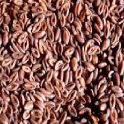 Shubhlaxmi Psyllium Seed, Certification : ISO 22000