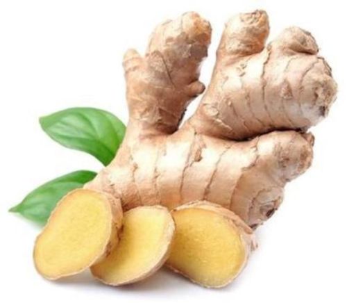 WINGOOD Common Fresh Indian Ginger, Certification : APEDA