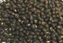 Black Matpe Beans