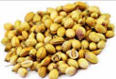 Coriander seeds, Specialities : Good Quality