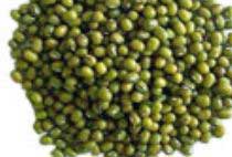 Green Mung Beans