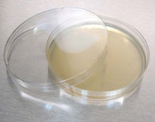 Round Mueller Hinton Agar Plates, For Chemical Laboratory