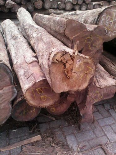 Round Teak Wood Logs, For Making Furniture, Feature : Accurate Dimension, High Strength