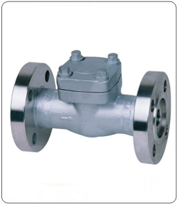 Non Return Valves