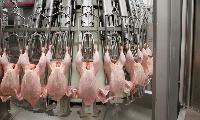 Poultry Processing Machine