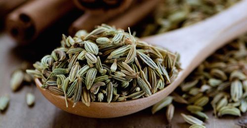 Fennel Seeds, Shelf Life : 12 Months