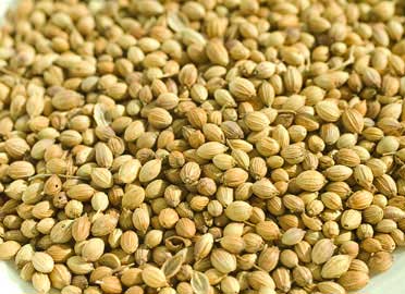 Coriander Seeds