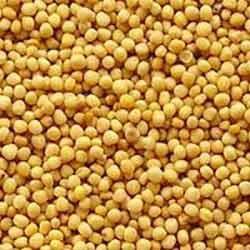 Yellow Mustard Seeds, Packaging Type : HDPE Bag
