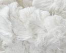 Raw Cotton, Cotton Waste