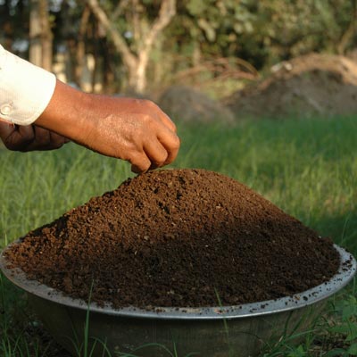 Vermicompost Manure,vermicompost Manure