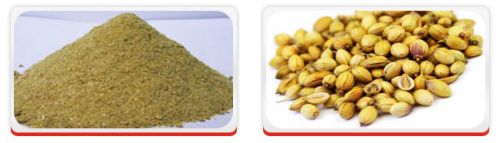 Coriander Form : Seed