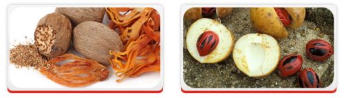 Nutmeg, Quality Available : A Grade