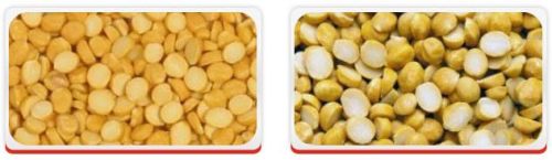 Chana dal, Cultivation Type : Common