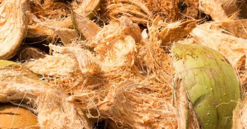 Coconut Coir