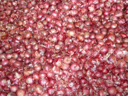 Red onion For Cooking