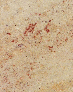 Shiva Gold Granite