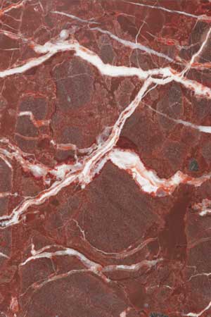 Indian Levanto Dark Marble