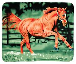 Printed Polar Fleece Blanket