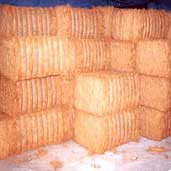 Coir Fiber