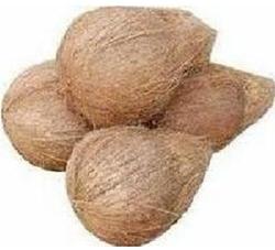 Semi Husked Coconuts, Color : Green