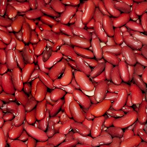 Red kidney beans