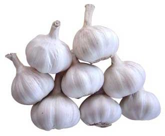 Fresh garlic, Shelf Life : 1 Week