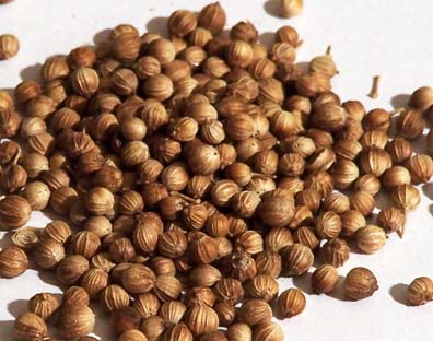 Coriander seeds, Drying Process : Sun Dried