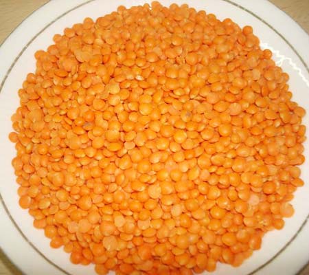 Red lentil