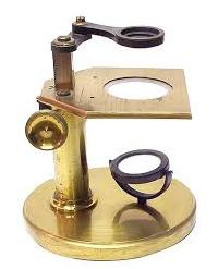 Dissecting Microscope