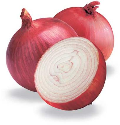 Fresh Onions