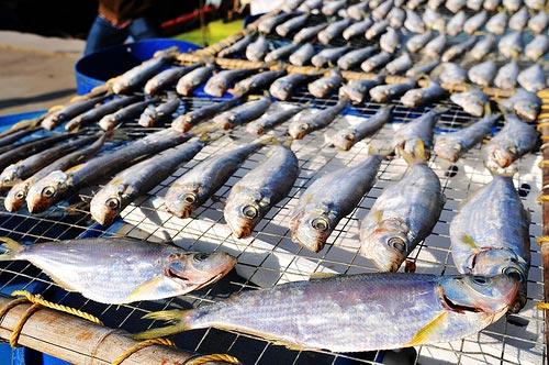 Sun Dried Fish