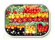 Fresh Vegetables