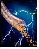 Antistatic Masterbatches