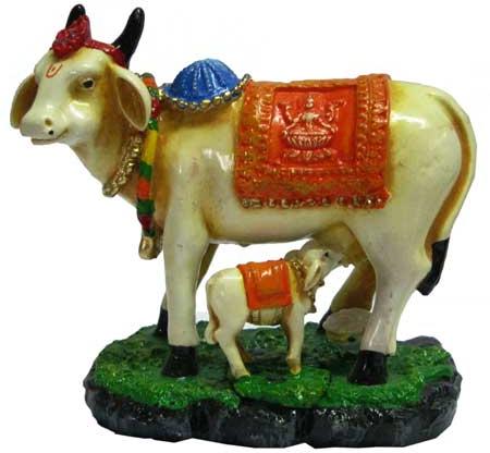 Fiber Cow Idol