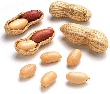 Common Groundnuts, For Cooking, Snacks, Style : Kernels