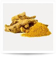 Turmeric Powder