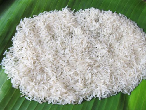 Common Hard Sharbati Steam Rice, Packaging Type : Gunny Bags, Jute Bags, Plastic Bags