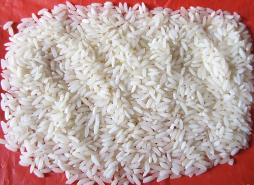 Common Sona Masoori Rice, For Cooking, Style : Dried