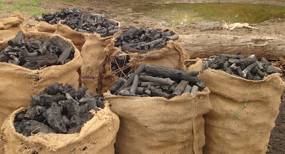 Round Stick Charcoal