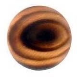 Buffalo Horn Button