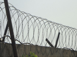 Concertina Razor Coil