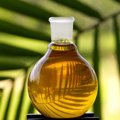 Palm Oil