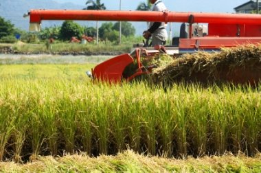 Printed Packaging Box, Size : Standard