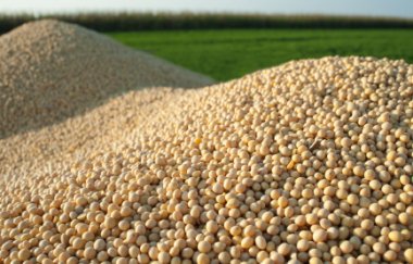 Soybeans
