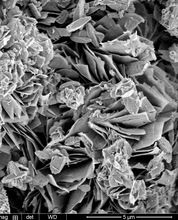 MCM-41 Molecular Sieve